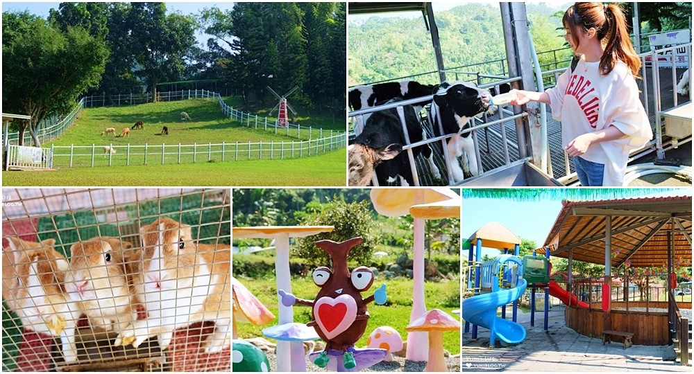 嘉義景點》獨角仙休閒農場，戶外親子好去處，餵動物玩沙下午茶 - yukiblog.tw