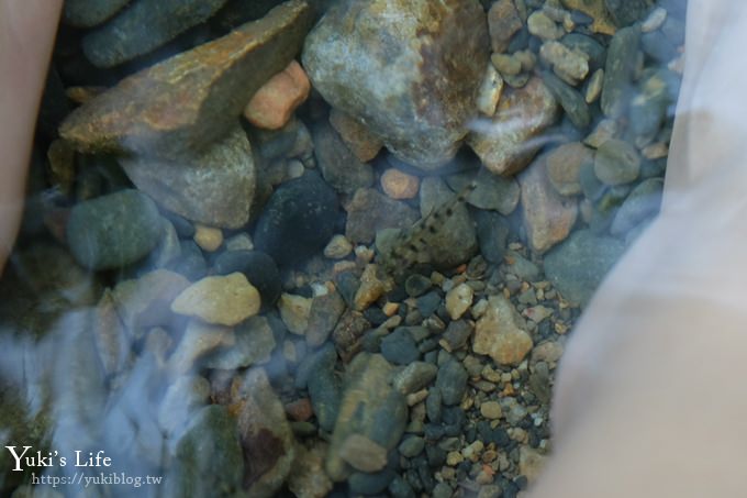 宜蘭礁溪景點》猴洞坑瀑布，15分鐘輕鬆到達消暑親水秘境，小魚咬腳皮趣！ - yukiblog.tw