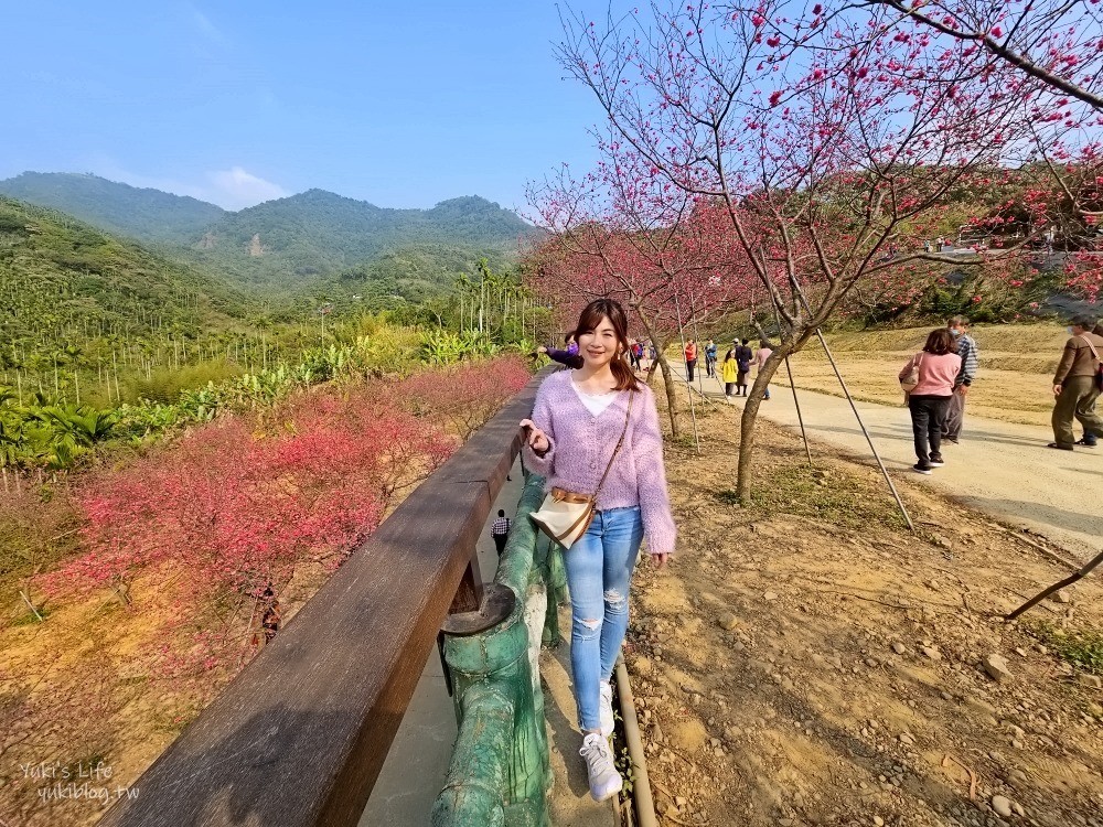 嘉義景點》半天岩紫雲寺，全台最長滾輪溜滑梯還能賞櫻花，阿里山一日遊好去處