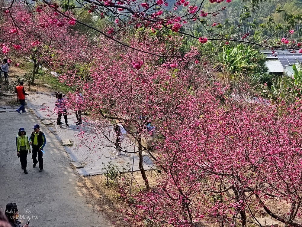 嘉義景點》半天岩紫雲寺，全台最長滾輪溜滑梯還能賞櫻花，阿里山一日遊好去處 - yukiblog.tw