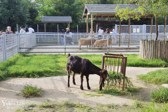大阪天王寺動物園，北極熊在等你~大阪周遊卡免費觀光親子景點 - yukiblog.tw