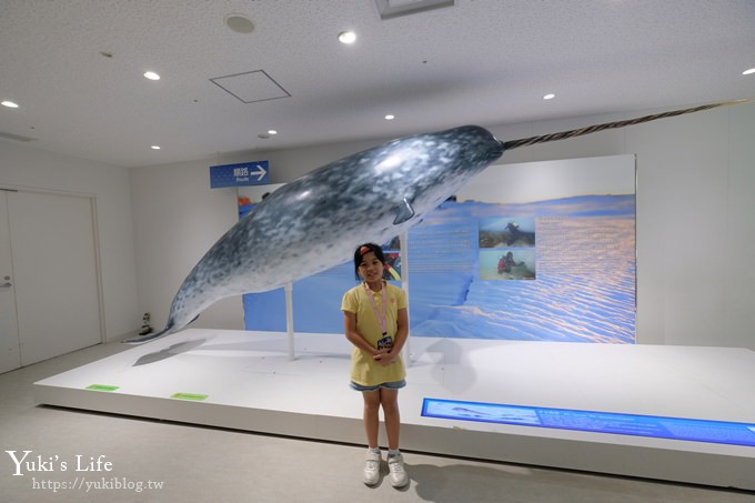 大阪景點【大阪海遊館】親子同遊好去處×可以摸鯊魚和魟魚哦！ - yukiblog.tw