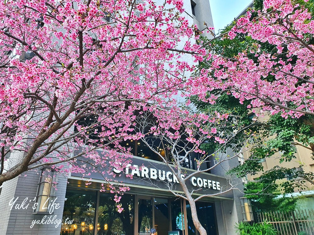 粉嫩櫻花美景喝咖啡「林口星巴克」限定粉紅浪漫～現在正美！ - yukiblog.tw