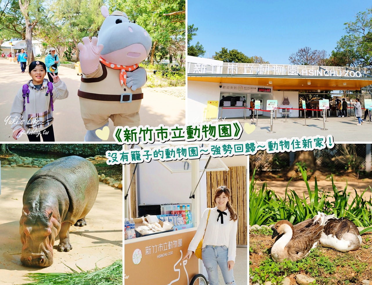 親子景點【新竹市立動物園】沒有籠子的動物園～全新回歸更好逛！(交通、停車場、門票) - yukiblog.tw