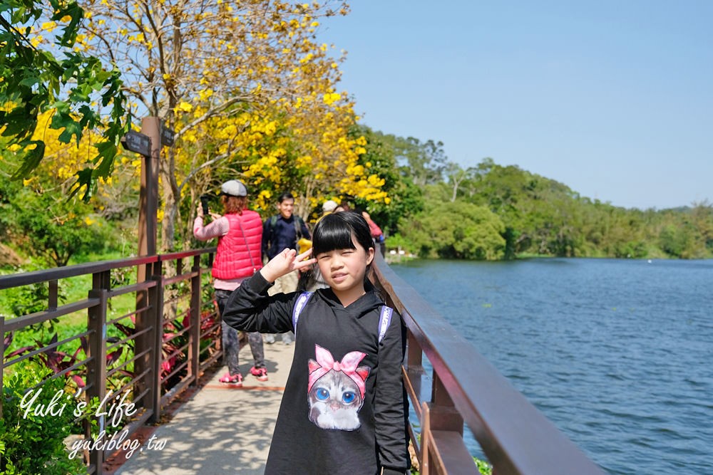 湖畔遠眺彌勒佛×黃花風鈴木拍照點在這裡！湖畔季節限定美景～ - yukiblog.tw