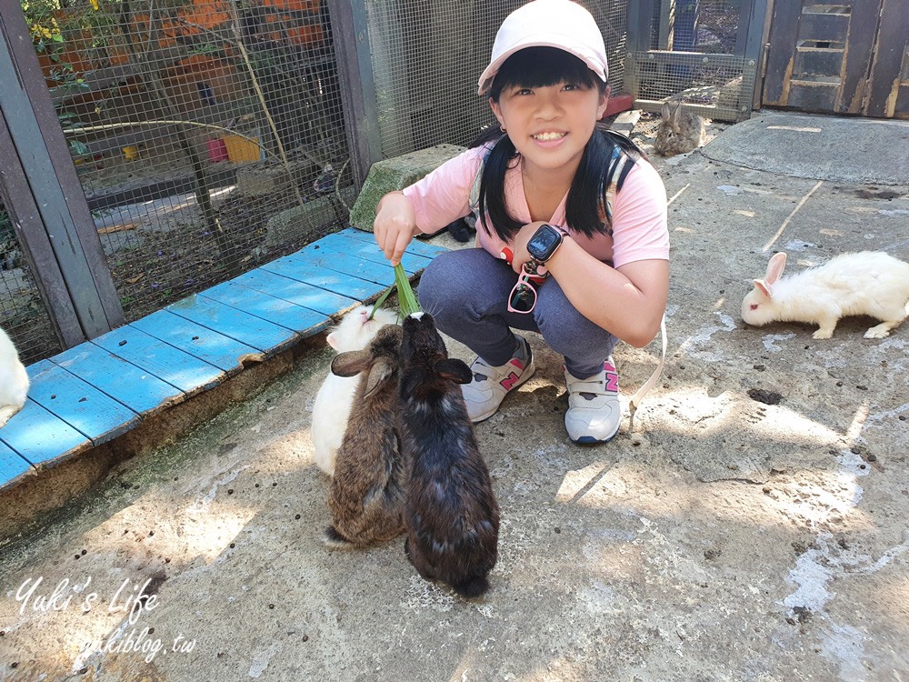 來被小動物療癒！好多動物的童話風農場，草泥馬、天竺鼠、小兔子～親子好去處 - yukiblog.tw