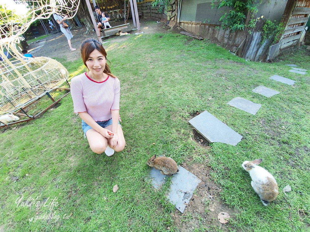 新北《TO House兔子親子庭園餐廳》餵兔子超療癒×十三行博物館附近美食 - yukiblog.tw