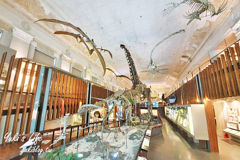 台北親子景點》國立臺灣博物館(古生物館)恐龍超壯觀！228公園玩好玩滿！