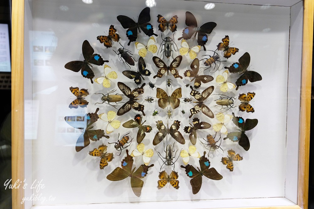 宜蘭蘇澳景點》綺麗觀光工廠，看寶石和蝴蝶標本，還有小動物和DIY，放電親子行～ - yukiblog.tw