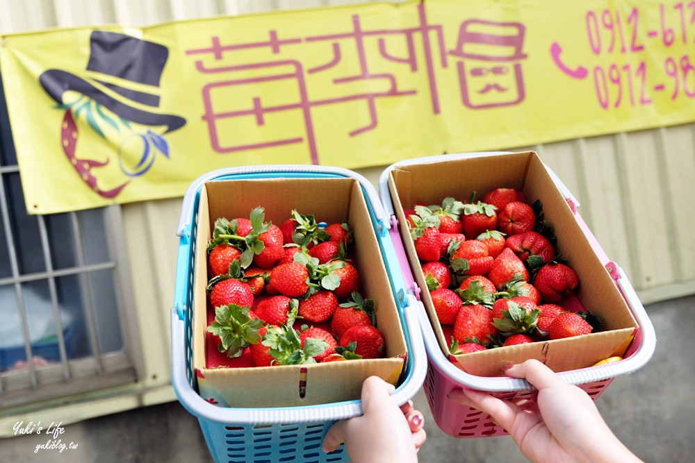 大湖草莓園推薦「莓李帽」苗栗馬拉邦山梯田式草莓園也太美！草莓餐療癒你的心 - yukiblog.tw