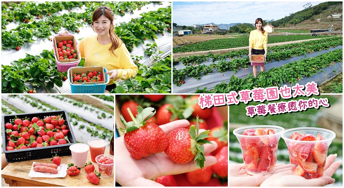 苗栗大湖採草莓推薦這幾家！高架草莓，草莓果醬DIY~香甜草莓在這裡！ - yukiblog.tw