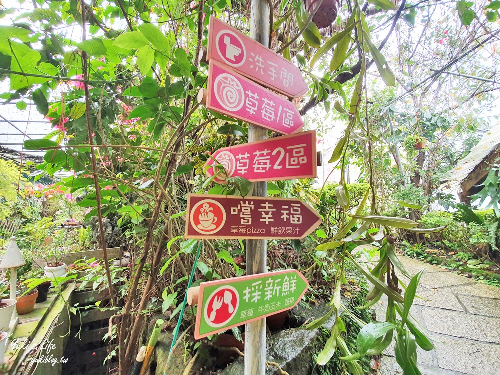內湖莓圃休閒農園，紫色吊橋踏青舒壓~超美小花園愜意吃草莓pizza - yukiblog.tw
