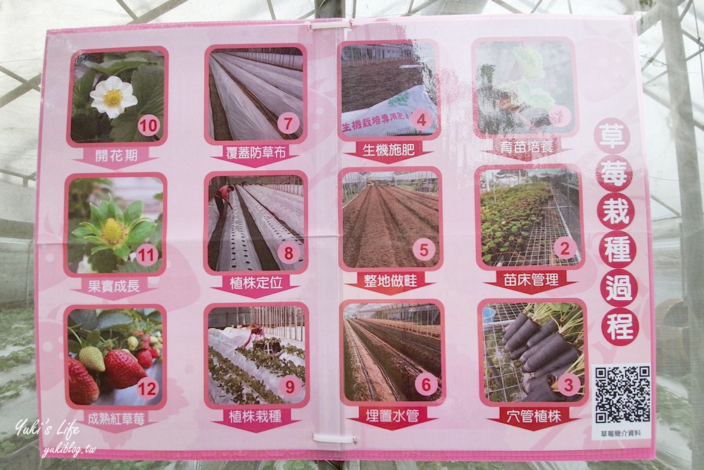 內湖莓圃休閒農園，紫色吊橋踏青舒壓~超美小花園愜意吃草莓pizza - yukiblog.tw