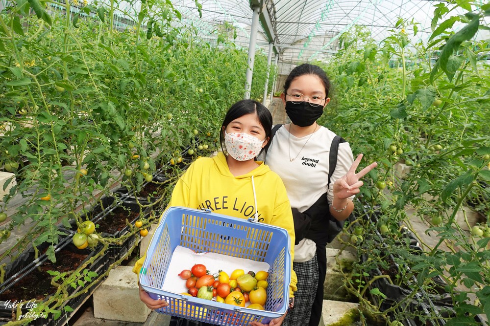 新竹關西景點》金勇DIY番茄農場~30多個品種番茄聯合國主題！番茄餐、搗麻糬(免門票) - yukiblog.tw