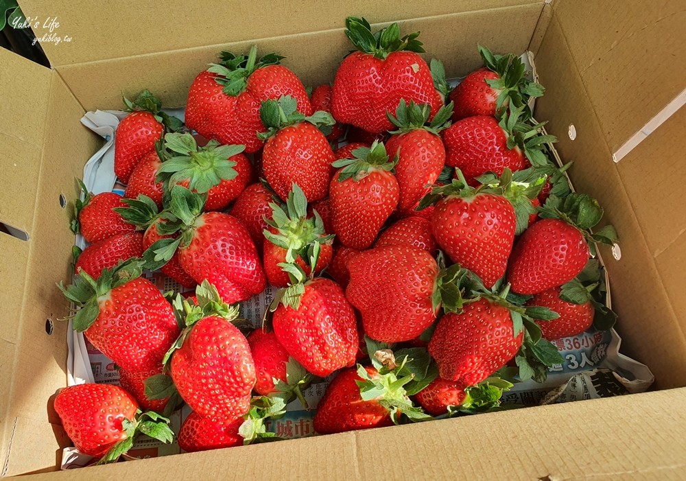 苗栗大湖採草莓一日遊》草莓園推薦、草莓火鍋、草莓咖啡廳，情侶約會好去處 - yukiblog.tw