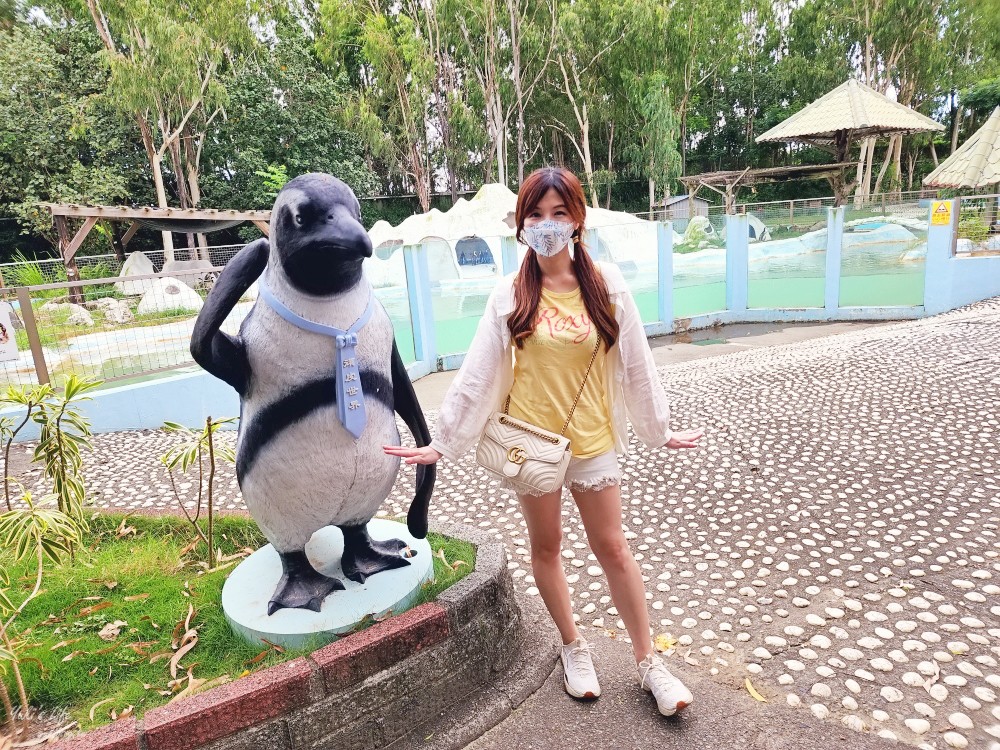 台南景點《頑皮世界》一票到底暢遊動物園、水樂園，玩水親子好去處 - yukiblog.tw