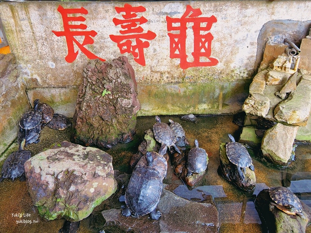 桃園景點》大溪蓮座觀音寺，登上百步雲梯的世外桃源，餵魚看長壽龜休閒好去處 - yukiblog.tw