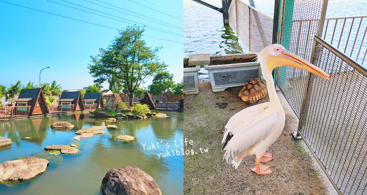 桃園龍潭景點》隆泉莊園休閒農場，哈比屋露營區，一日遊可以玩水餵動物 - yukiblog.tw
