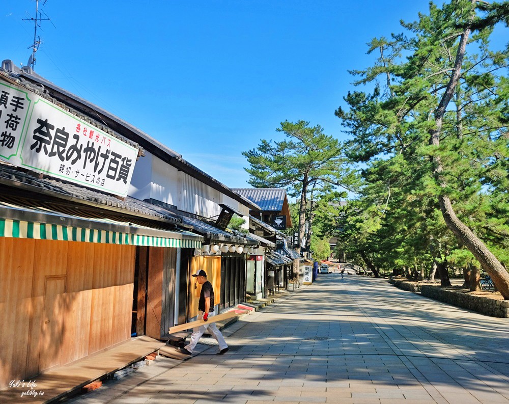 京都景點》奈良公園，京都一日遊推薦，好多好多鹿太萌了 - yukiblog.tw