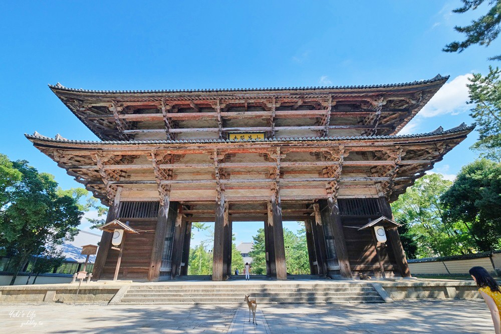 京都景點》奈良公園，京都一日遊推薦，好多好多鹿太萌了 - yukiblog.tw