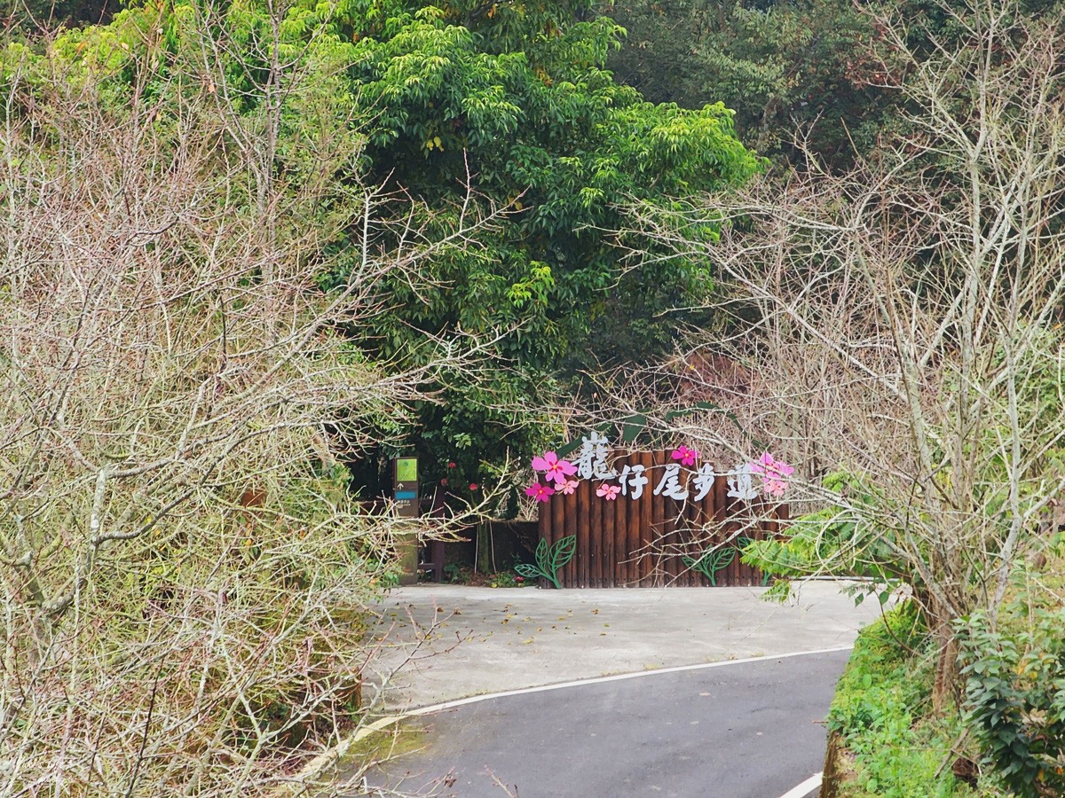 絕美步道在梅山！花石溪步道帶你穿越山谷，最夯木棧道欣賞美景 - yukiblog.tw