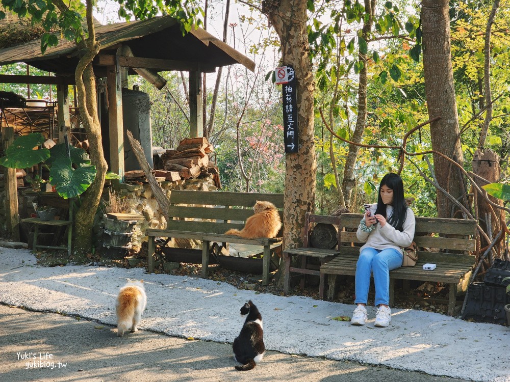 嘉義阿里山|阿將的家23咖啡館|秘境療癒貓咪,宮崎駿石頭屋 - yukiblog.tw