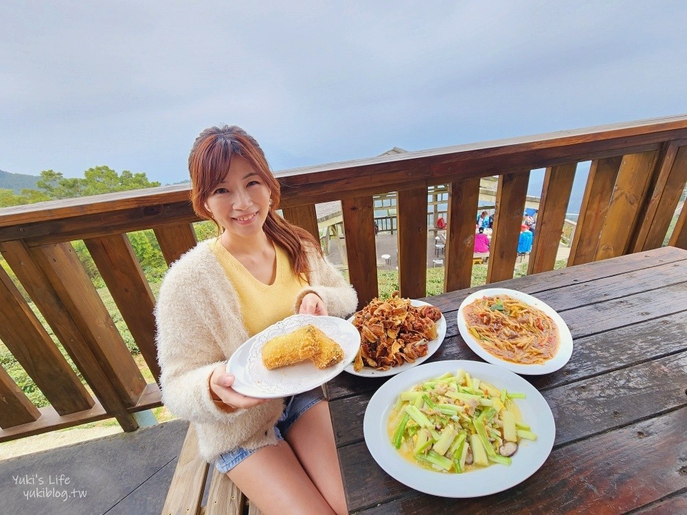 【嘉義梅山景點】二尖山休閒茶園景觀餐廳，必吃苦茶油雞和脆皮豆腐 - yukiblog.tw