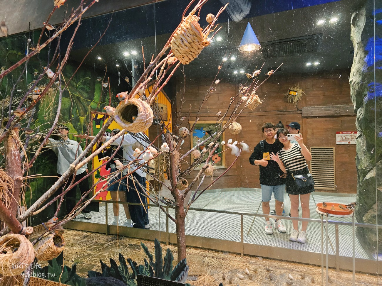 韓國親子景點》首爾Zoolung Zoolung室內動物主題樂園，可以近距離餵食小動物，療癒到不行 - yukiblog.tw
