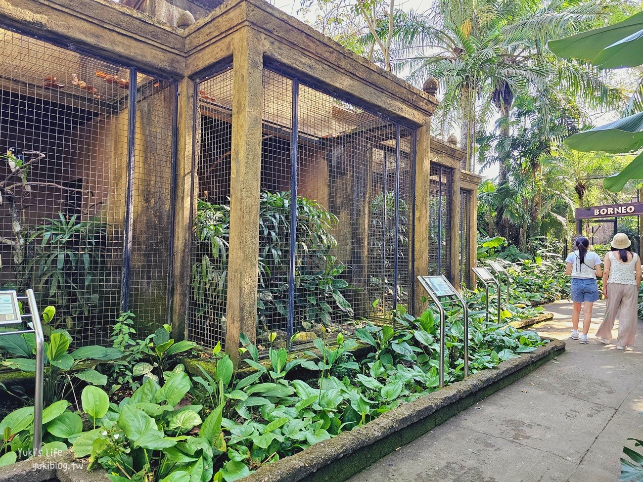 峇里島親子景點》烏布鳥園​​​​​​​Bali Bird Park～必玩推薦！超過1300隻鳥類！ - yukiblog.tw