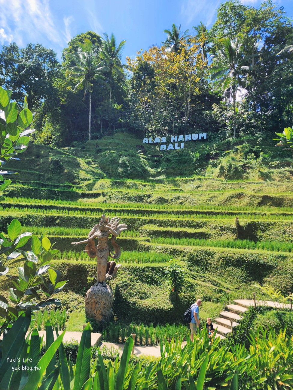 峇里島烏布網美景點》Alas Harum Bali~德哥拉朗梯田盪鞦韆！超過一萬則評論 - yukiblog.tw