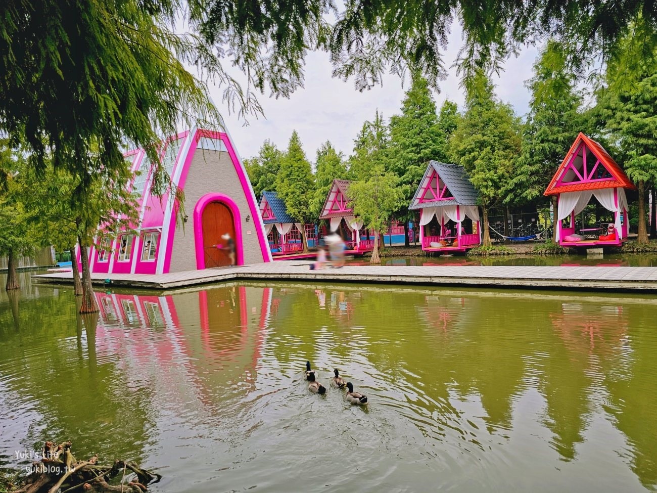 雲林古坑粉紅泡泡(珍粉紅城堡)粉紅色水上教堂、落羽松水上發呆亭景觀餐廳