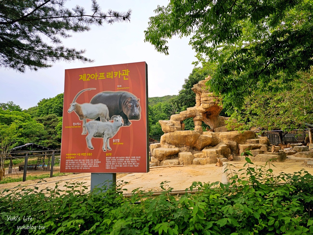 首爾親子景點推薦》首爾動物園～必搭空中纜車太刺激！超大動物園~ - yukiblog.tw