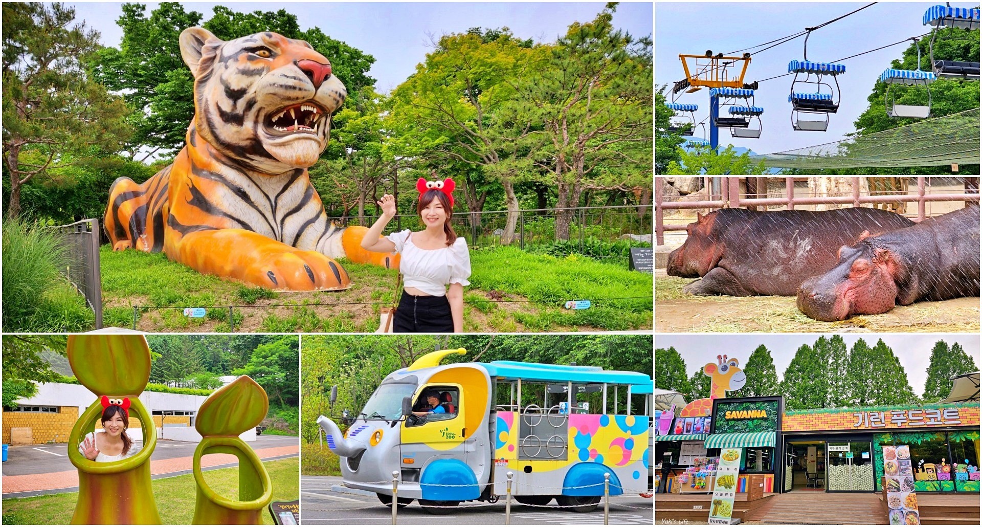 首爾親子景點推薦》首爾動物園～必搭空中纜車太刺激！超大動物園~