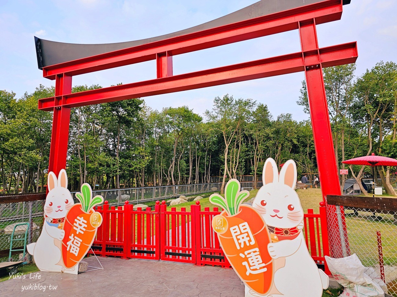 雲林虎尾景點》澄霖沉香味道森林館，全新兔子神社日式園區，來被兔兔包圍～ - yukiblog.tw