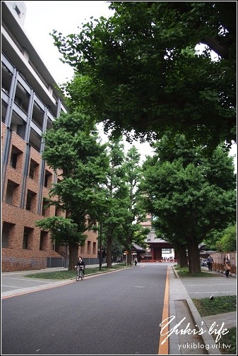 [08東京假期]＊C33 日本最高學府-東京大學の散步篇 - yukiblog.tw