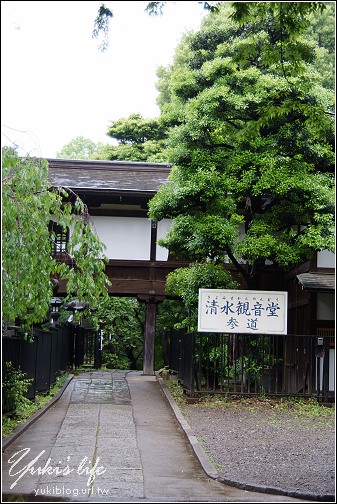 [08東京假期]＊C57 上野公園+上野の森美術館+清水觀音堂 - yukiblog.tw