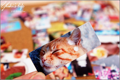 [好物分享]＊我的Ping Card 2度入手 (部落格名片) - yukiblog.tw