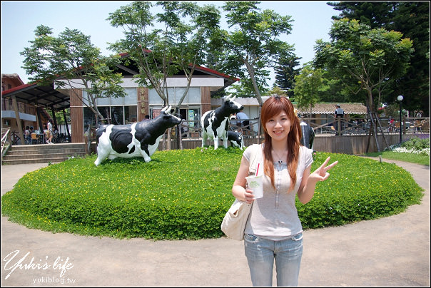 [台東-遊]＊初鹿牧場～鮮奶好好喝.哞哞哞 - yukiblog.tw