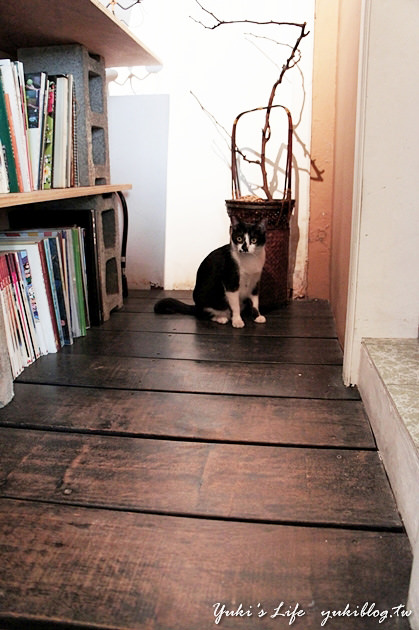 [台中食記]＊【胡同咖啡】貓咪在你身邊漫步.睡覺 ~ 好慵懶的藝術空間 - yukiblog.tw