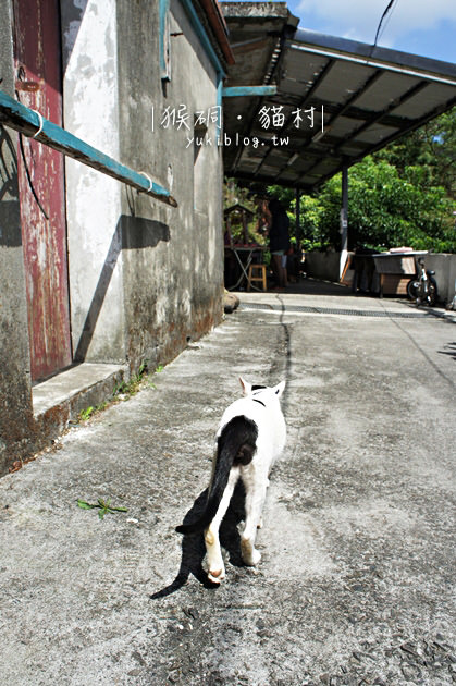 [台北遊記]＊候硐(猴硐)‧貓村 ~ 可愛的小村落.每個角落都有笑咪咪的貓兒 - yukiblog.tw
