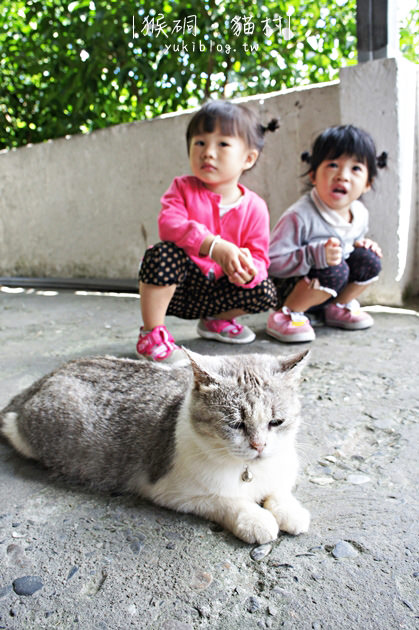 [台北遊記]＊候硐(猴硐)‧貓村 ~ 可愛的小村落.每個角落都有笑咪咪的貓兒 - yukiblog.tw