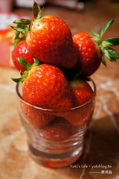 韓國濟洲島旅行【零食總整理篇】就愛韓國大草莓&韓版Calbee卡樂比薯條 - yukiblog.tw