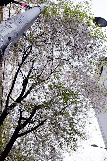 韓國首爾親子自由行【賞櫻花】櫻花季時路邊隨處有美景 @忠武路站 - yukiblog.tw