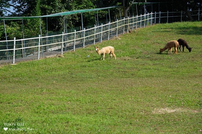 嘉義景點》獨角仙休閒農場，戶外親子好去處，餵動物玩沙下午茶 - yukiblog.tw
