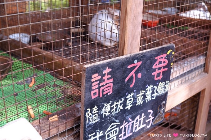 桃園觀音景點【青林農場】便宜門票、有沙坑、小火車、餵兔子的親子旅遊地點 - yukiblog.tw
