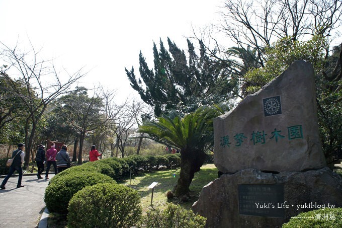 韓國濟洲島旅行【漢拏樹木園】櫻花大道盛開時期是每年的3月下旬~4月中旬 - yukiblog.tw