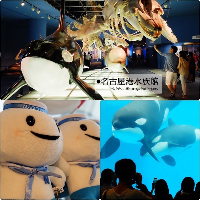 日本名古屋景點〈名古屋港水族館〉虎鯨寶寶.海豚表演超可愛❤